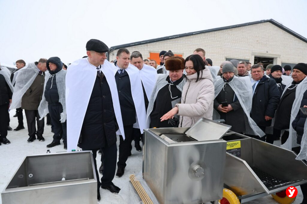 Технологии, контроль и разбор ошибок: на Минщине обсудили, как сохранить молодняк КРС