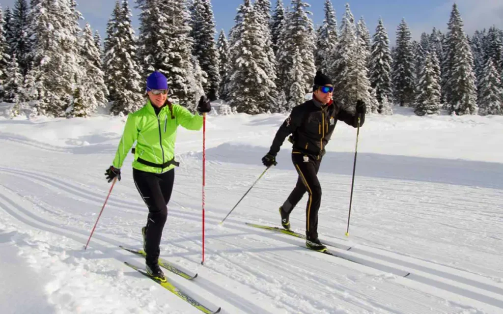 В лесопарке «Медвежино» обустроят три  лыжероллерные трассы