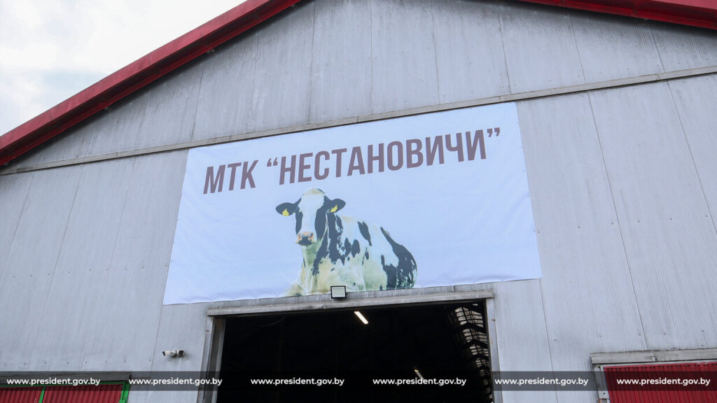 Лукашенко оценил профилакторий для телят: опыт Минской области под вопросом масштабирования