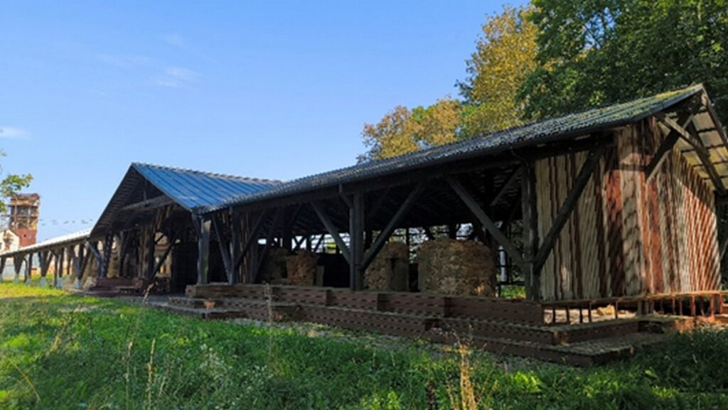 Старинную усадьбу в Гродненской области продают на аукционе со скидкой 80%