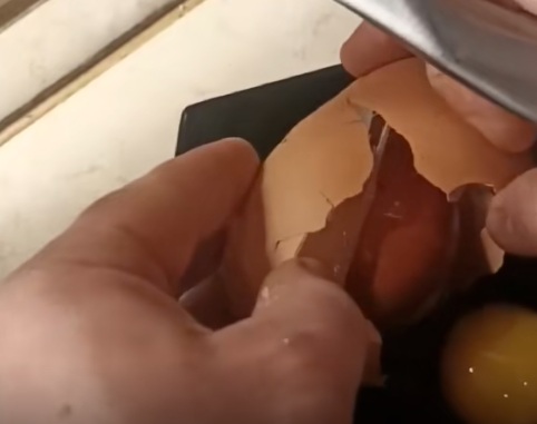 Яйцо в яйце: в Минске курица снесла «матрёшку» и удивила хозяина