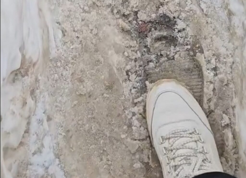 Белоруска сняла нерасчищенную зебру и  получила предупреждение