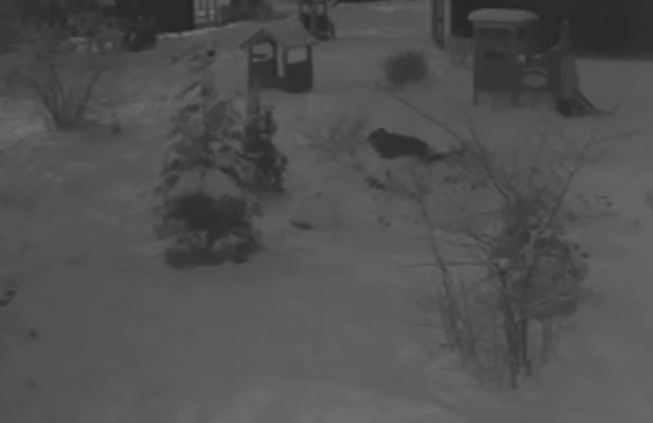 Мужчина принял наркотики и пытался спрятаться в детском саду от «преследователей»