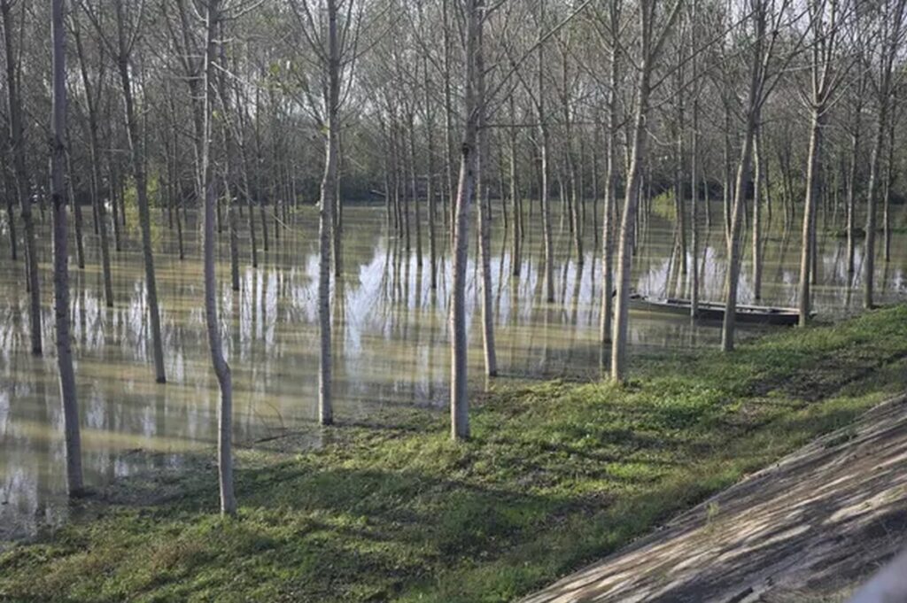 Беларусь ждут паводки в 60 районах страны