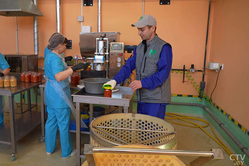 В Молодечно откроют производство аквафабы: из нута делают зефир, безе и майонез