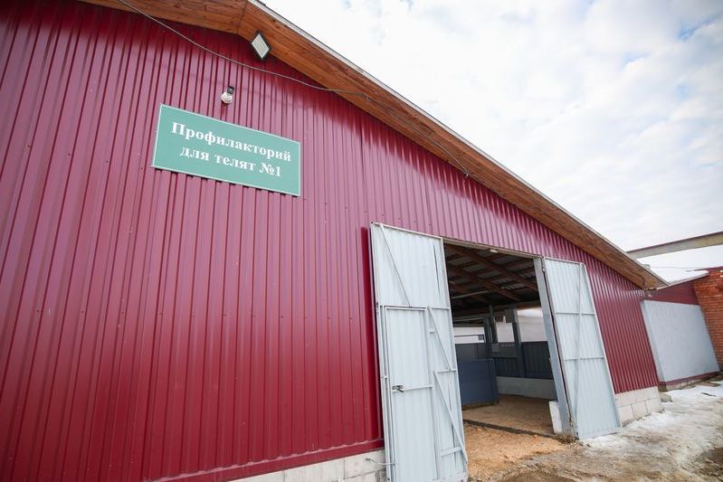 Рабочая суббота в поле: Александр Лукашенко лично проверил молочный комплекс в Логойском районе