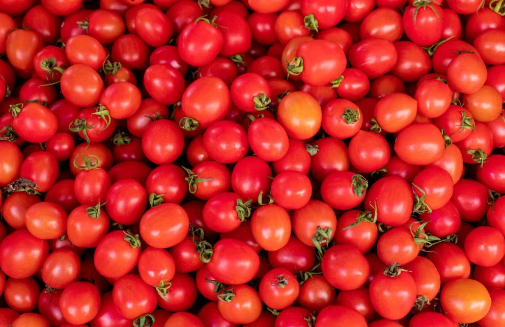 Ученые сказали, что пожилым обязательно нужно есть помидоры