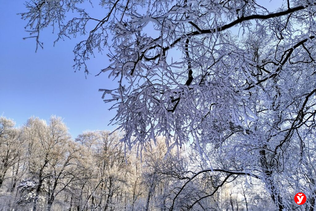 Минувшая ночь выдалась морозной: где было холоднее всего в Минской области