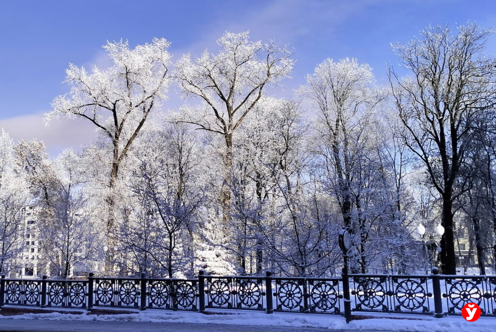Ниже -26°С: где холоднее всего было в Минской области этой ночью