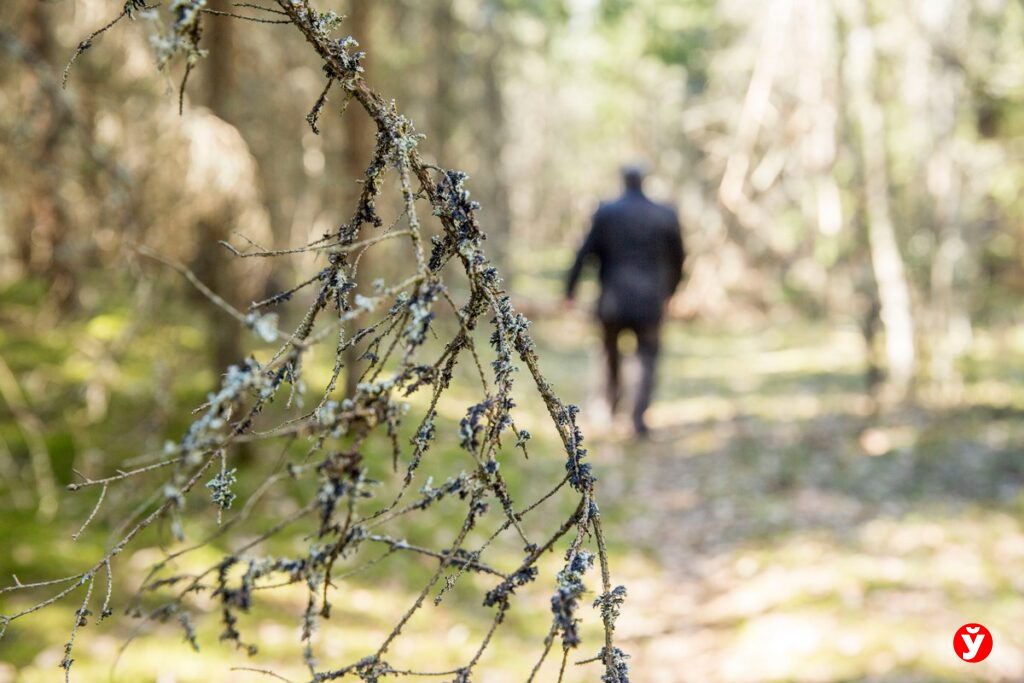 Белорусам начнут рассылать «письма счастья» за выброшенный в лесу мусор