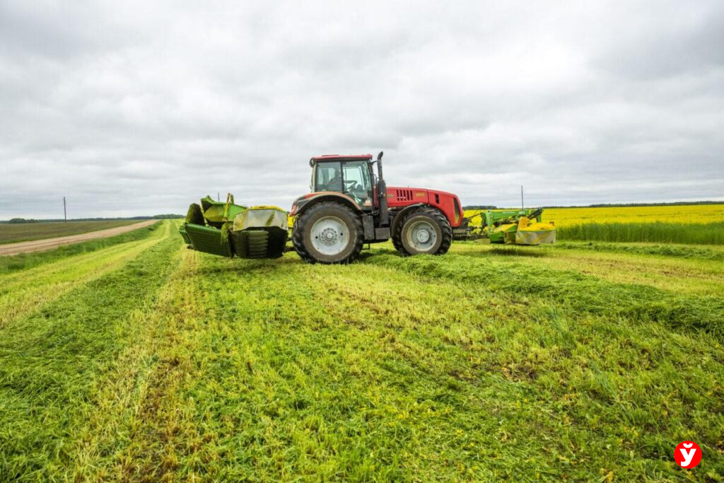 Семена есть, удобрения поступают, техника готова на 92%: Кушнаренко о готовности Минской области к посевной