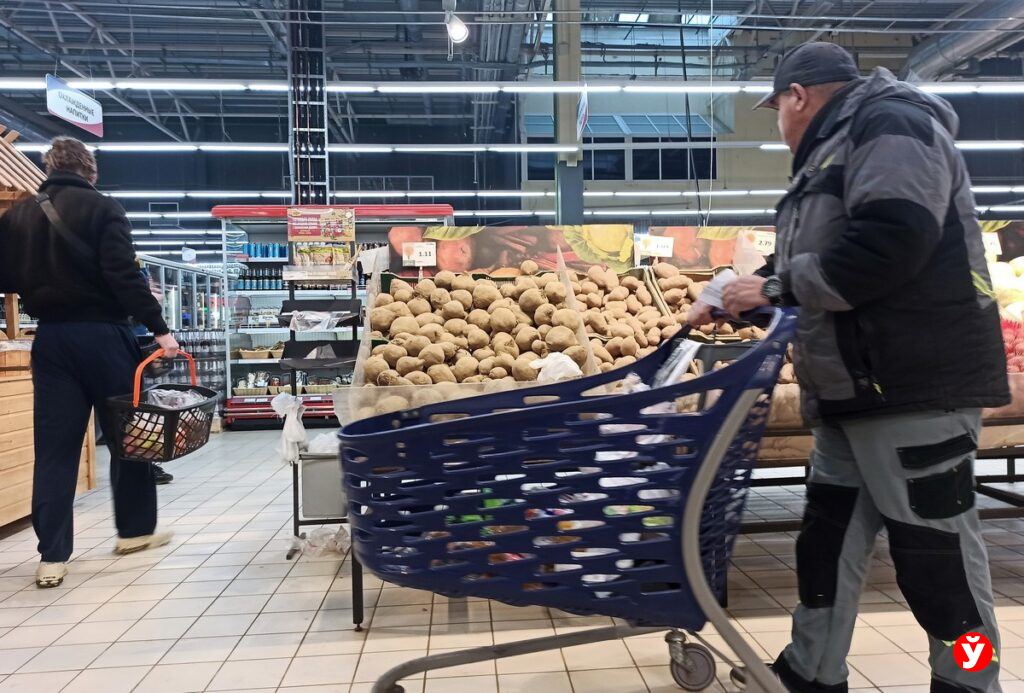 Огурцы по цене авокадо? Профсоюзы нашли в Минске «российский» овощ за 9,99 BYN