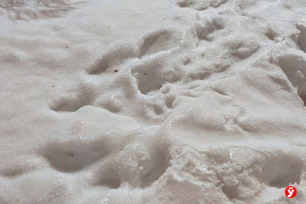 Морозы до –29°С накроют Беларусь на следующей неделе — ждать ли потепления