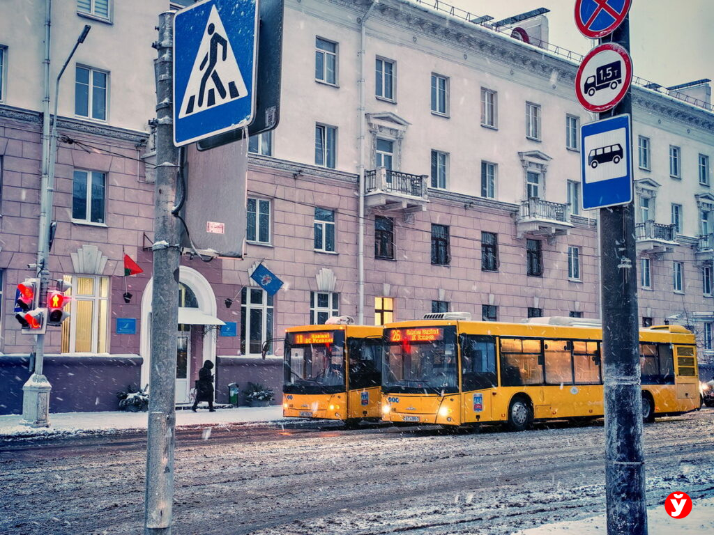 Неделя в Беларуси начнётся с сильных морозов, а закончится оттепелью