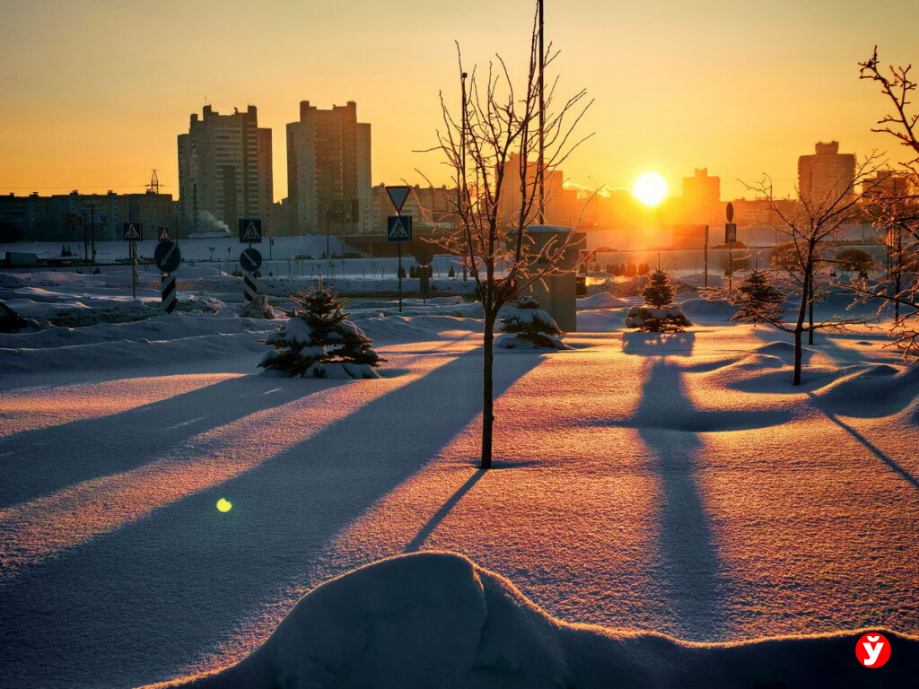 Мокрый снег и до плюс 4 градусов: чего ждать от погоды в Беларуси 12 февраля