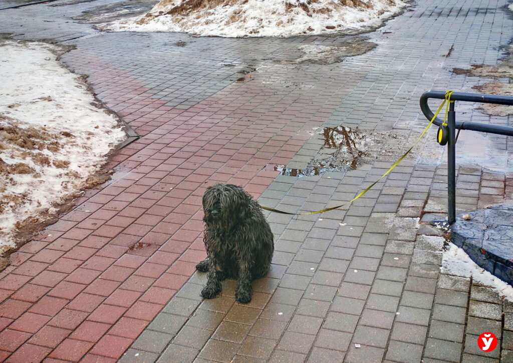 Снег не обещают, но дороги скользкие: какой будет погода 26 февраля