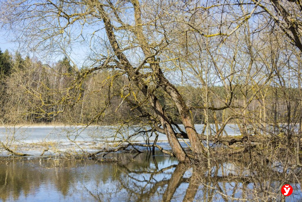 В МЧС рассказали, куда поедут люди, если вода придет в дома во время паводка