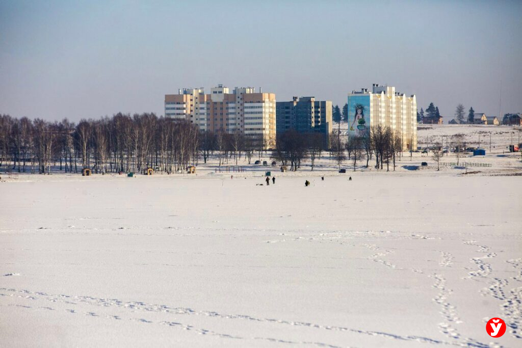 В Смолевичском районе выставили на торги дешевые участки – цены стартуют от 4 тысяч