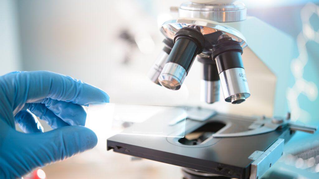 119 тысяч исследований в год — что находят специалисты Слуцкого зонального ЦГиЭ