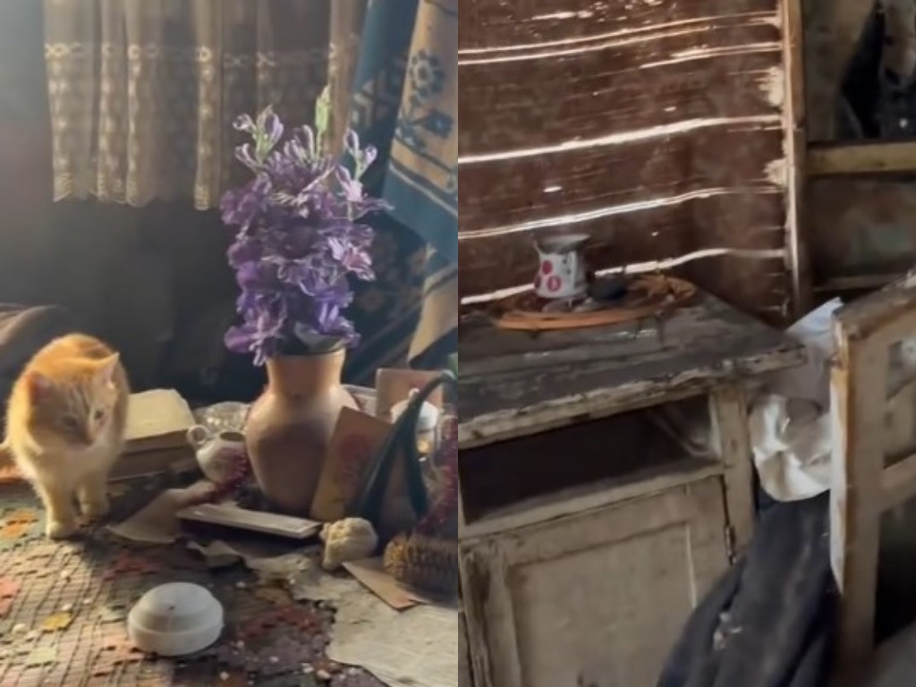 На видео попали жуткие условия проживания инвалида в Логойском районе. Разобрались в ситуации