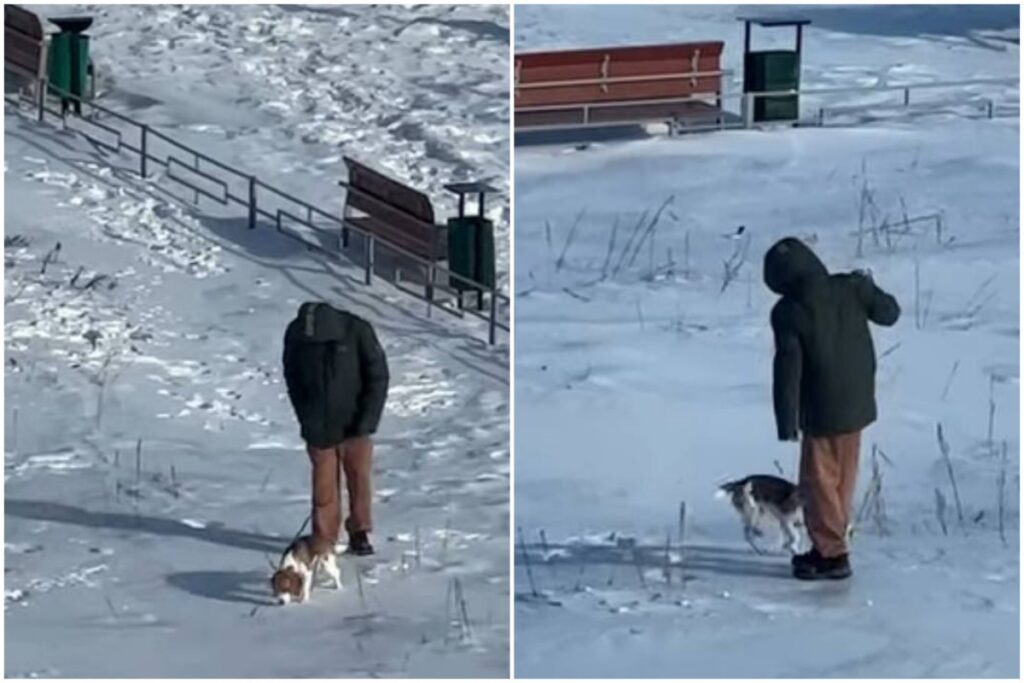 Пинал, и швырял на снег: пользователи сети ополчились на бобруйчанина, издевавшегося над питомцем