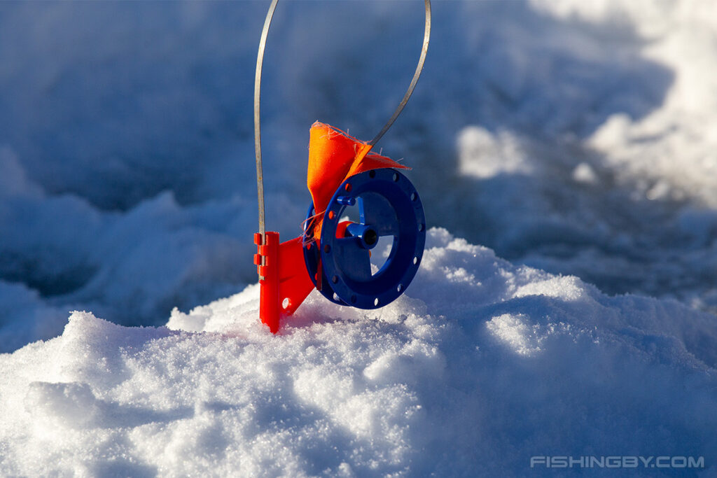 Приехал за плотвой — ушёл с трофеем: рыбак поймал почти 5-килограммовую щуку под Минском