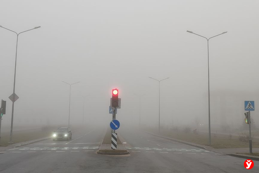 Туман — не проблема: как вести машину в непростых погодных условиях