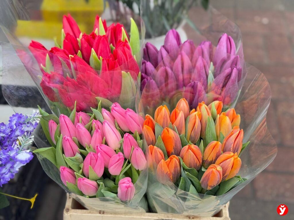 Где в Минске будут продавать цветы к 8 Марта — известны торговые точки