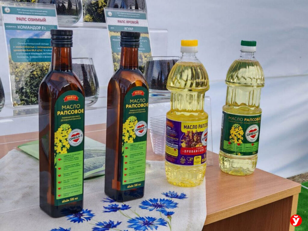 Коллеги по омеге: вся правда о рапсовом масле