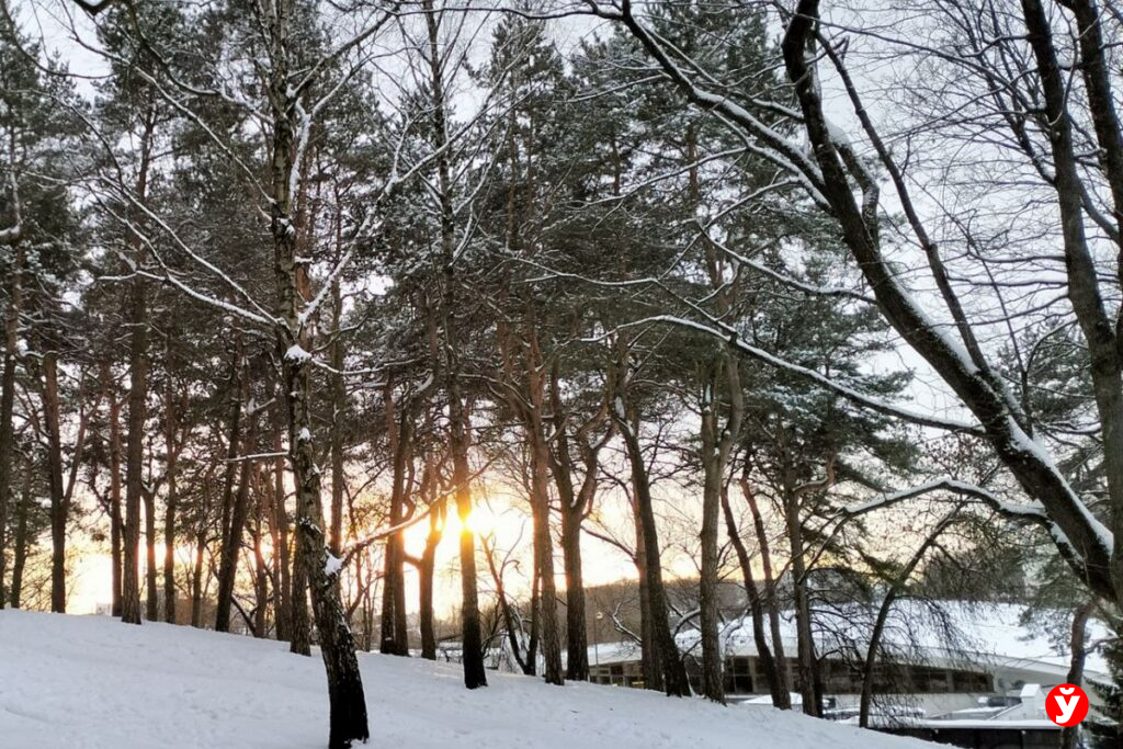 Снова выпадет снег? Какая погода ждет белорусов 10 февраля
