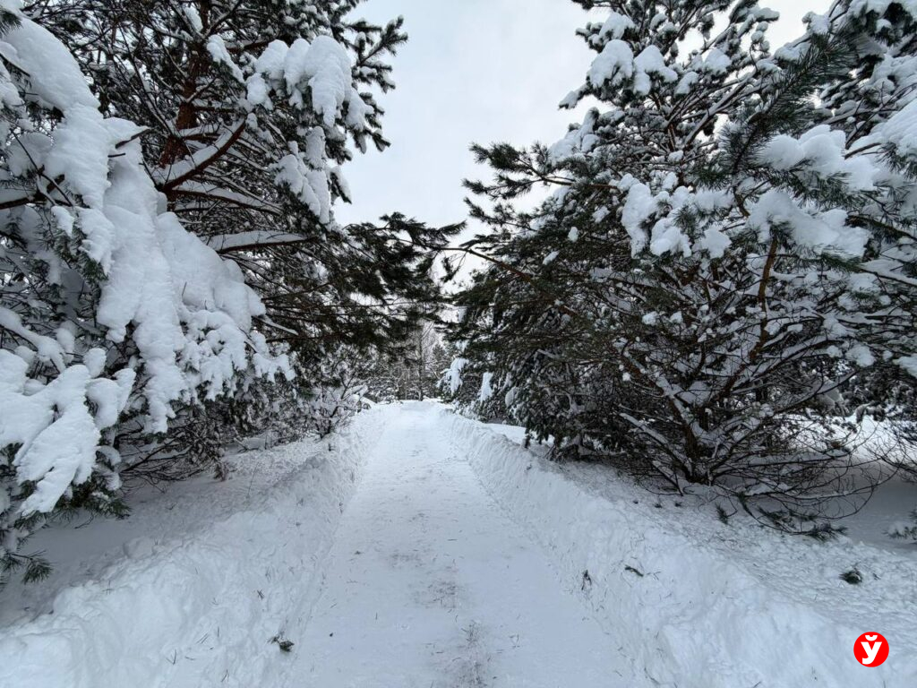 Морозно и небольшой снег. Чего ждать от погоды в Беларуси 18 февраля