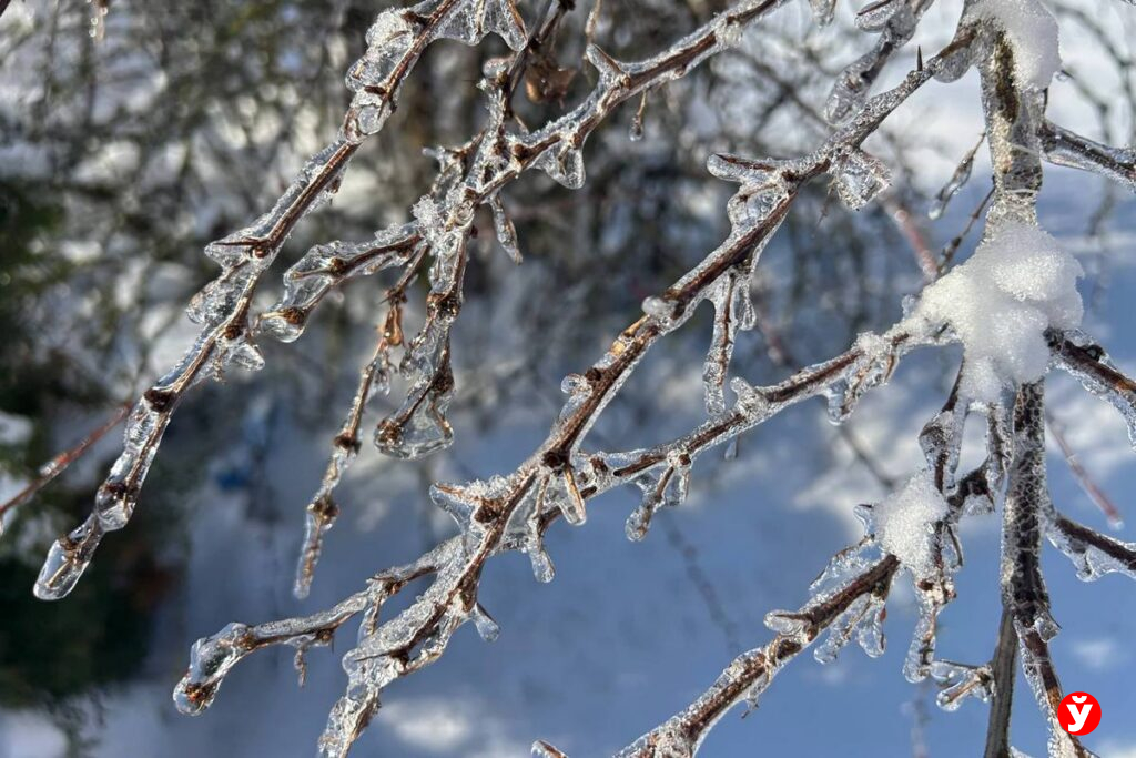 Морозы не отступают: синоптики продлили на вторник оранжевый уровень опасности