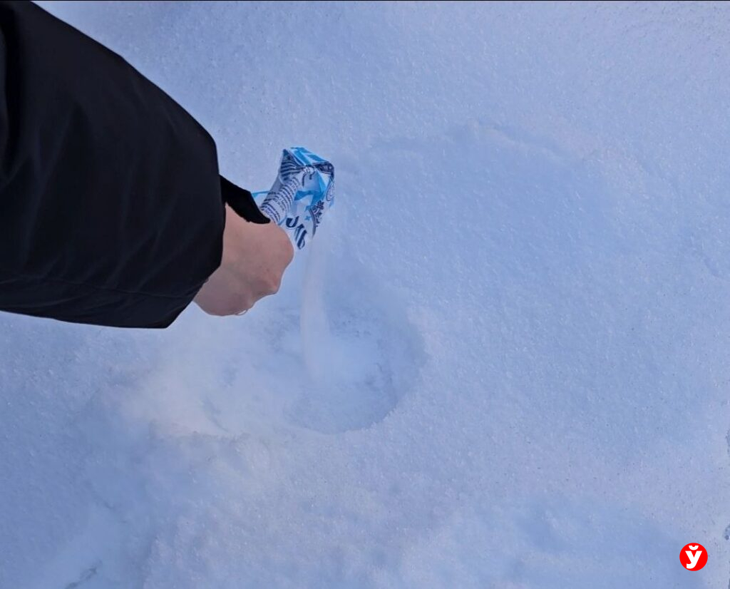 Как сделать мороженое в снегу