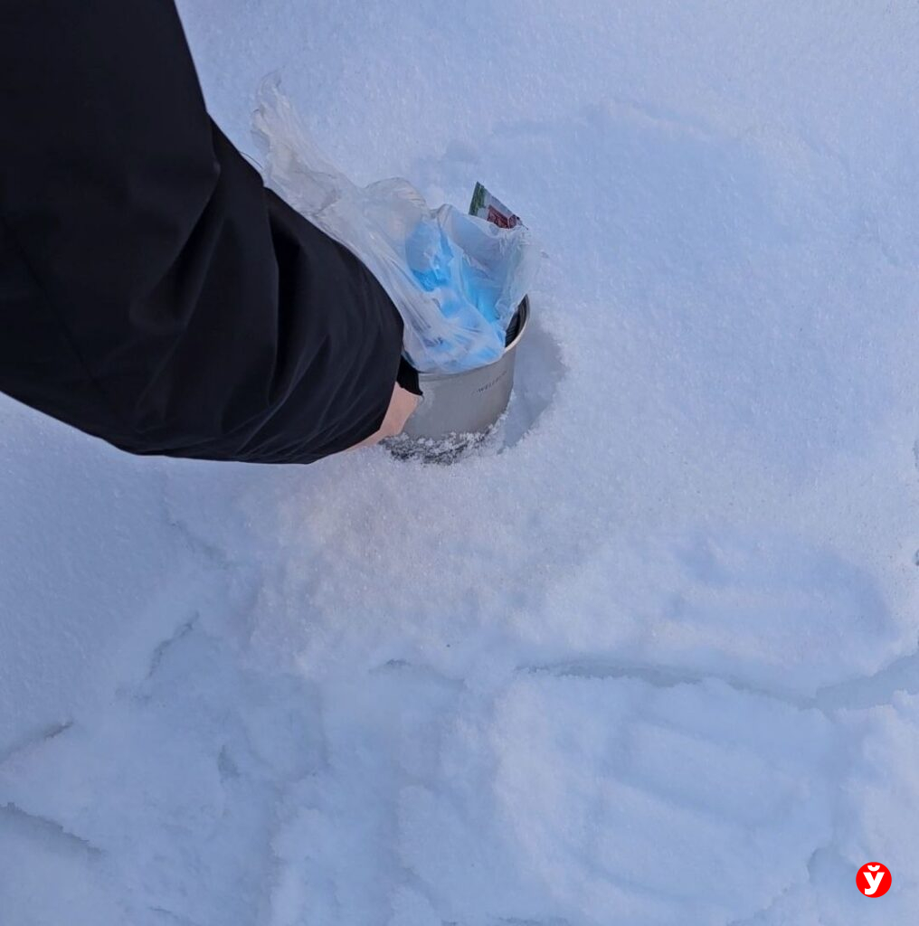 Как сделать мороженое в снегу