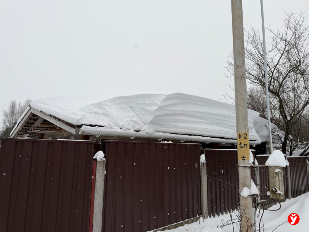 Не просто сугробы: как обычный снег может спасти урожай, рассаду и запасы на даче