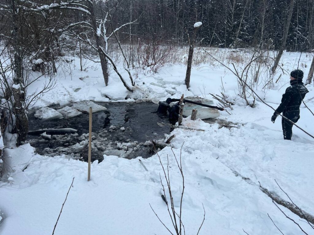 Тело нашли на берегу после многочасовых поисков: трагедия на реке Поплав в Минском районе