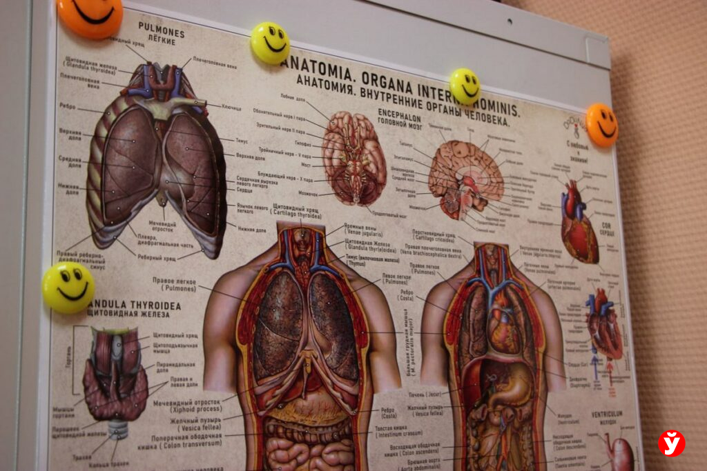 Наталья Карева, заместитель начальника сектора судебно-медицинских экспертиз Борисовского межрайонного отдела Государственного комитета судебных экспертиз