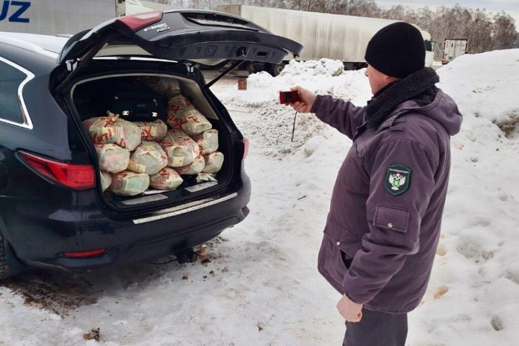 Россельхознадзор не пропустил 160 тысяч пакетиков с семенами моркови, томатов и редиса из Беларуси