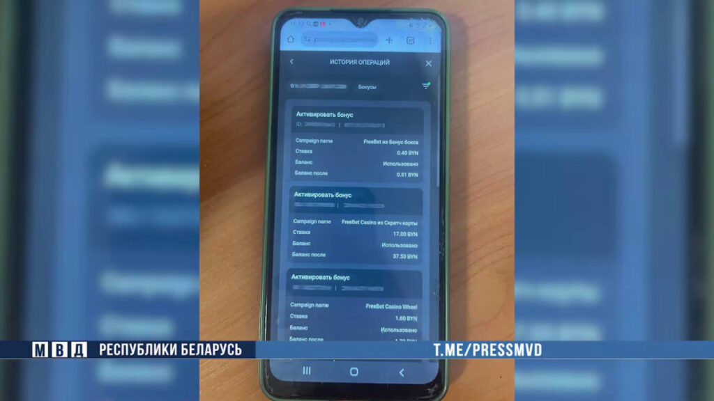 На Могилевщине главный бухгалтер похитила 185 тысяч рублей и проиграла их в онлайн-казино