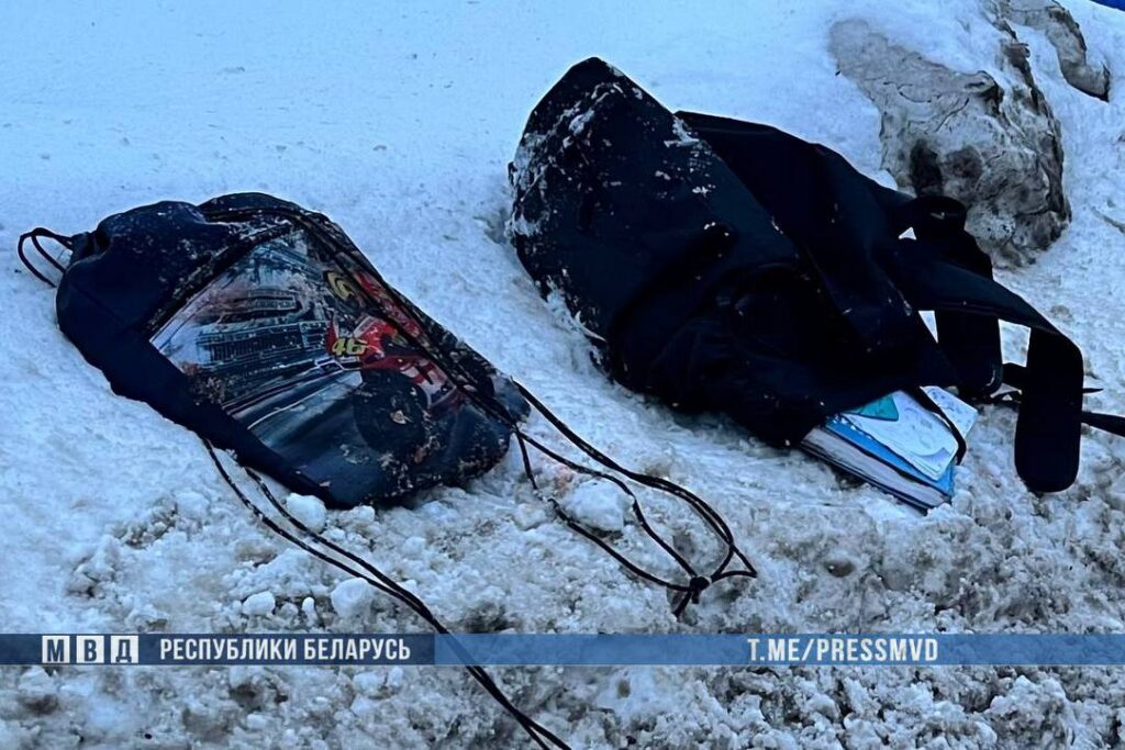 На Гомельщине автомобиль сбил 14-летнего подростка – парень погиб на месте