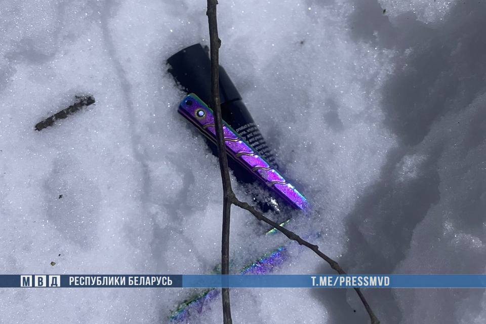 Лукашенко похвалил оперативность действий правоохранителей в Смолевичском районе