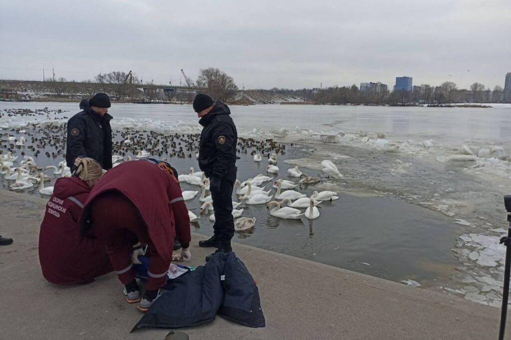 Пожилая женщина погибла в реке Мухавец в Бресте