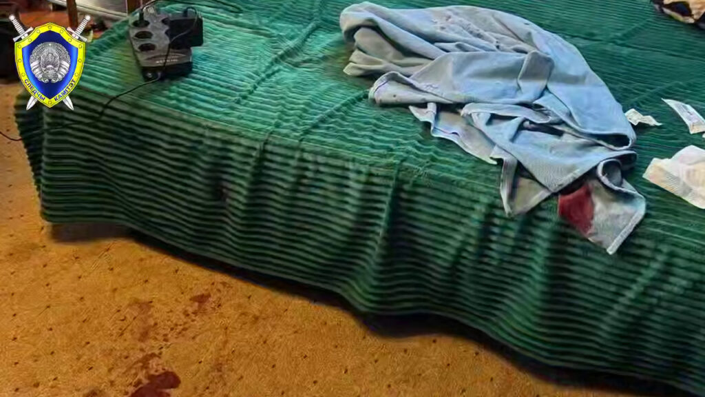 СК озвучил детали нападения на семью под Смолевичами: в ход пошли бита и пистолеты