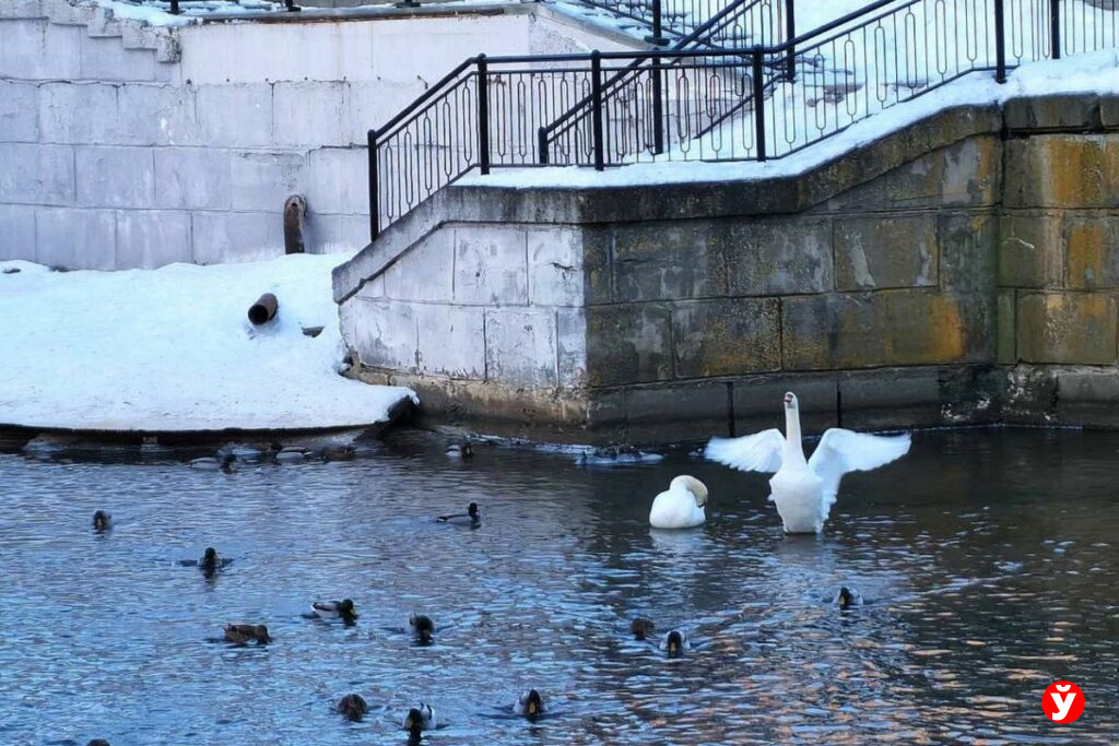 Ночью до минус 20, днем – до плюс 1: синоптики рассказали о погоде на субботу