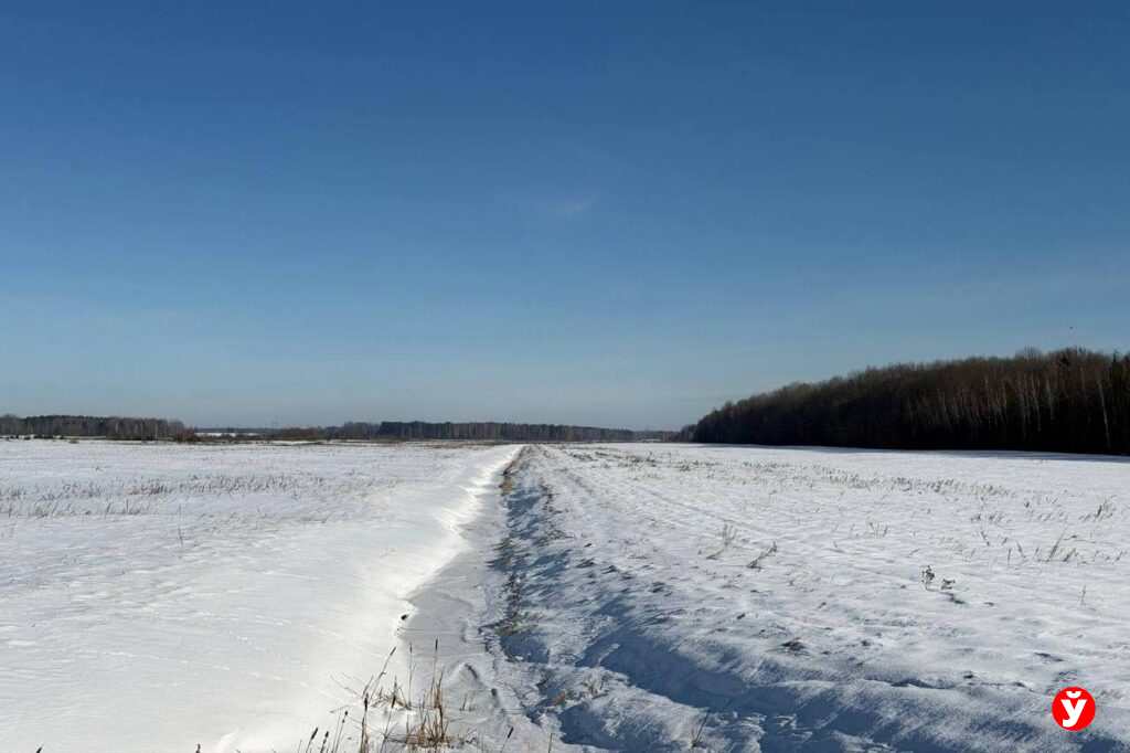 Снег и скользкие дороги: что ждёт белорусов 25 февраля