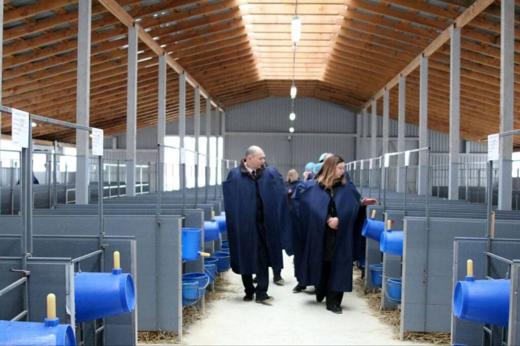 Минская область построит 111 новых профилакториев для телят по примеру «Нестановичи-Агро»