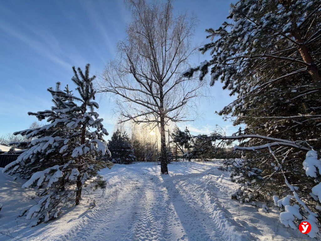 Гололедица и до 13 тепла: весна в Беларусь придёт с туманами и перепадами температур