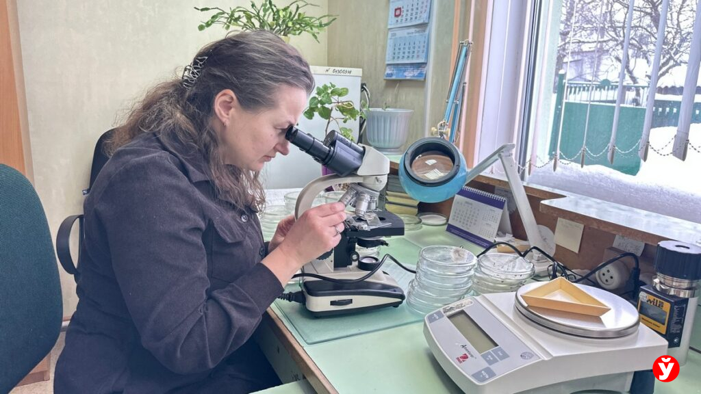 От элитных семян до защиты от вредителей: как обеспечивают урожай в Слуцком районе