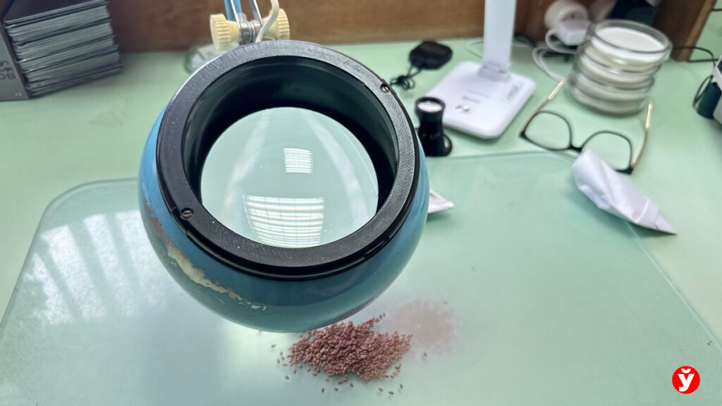 Хозяйства Слуцкого района 