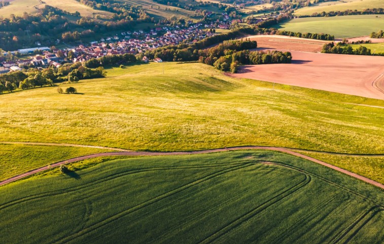 В Беларуси завершена кадастровая оценка сельхозземель